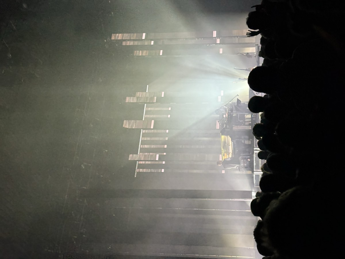 Lille, un week-end pour Thylacine — briques flamandes et musique de voyage